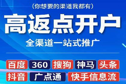 行业领先企业的SEM代理案例剖析